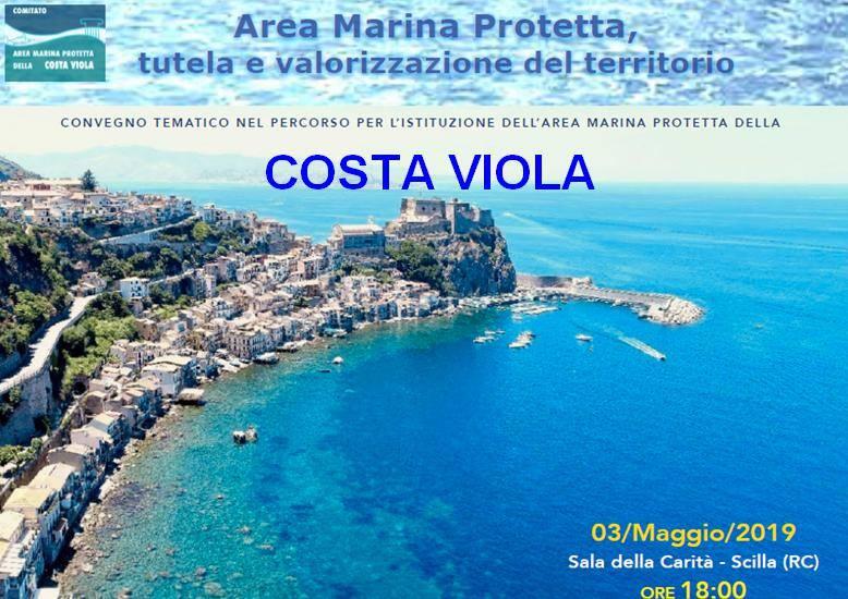 Convegno AMP Costa Viola 2019