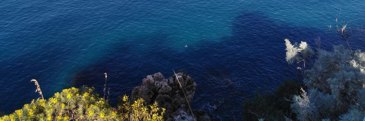 Costa Viola — mare dall'alto