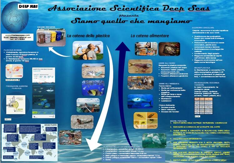 Poster plastica catena alimentare